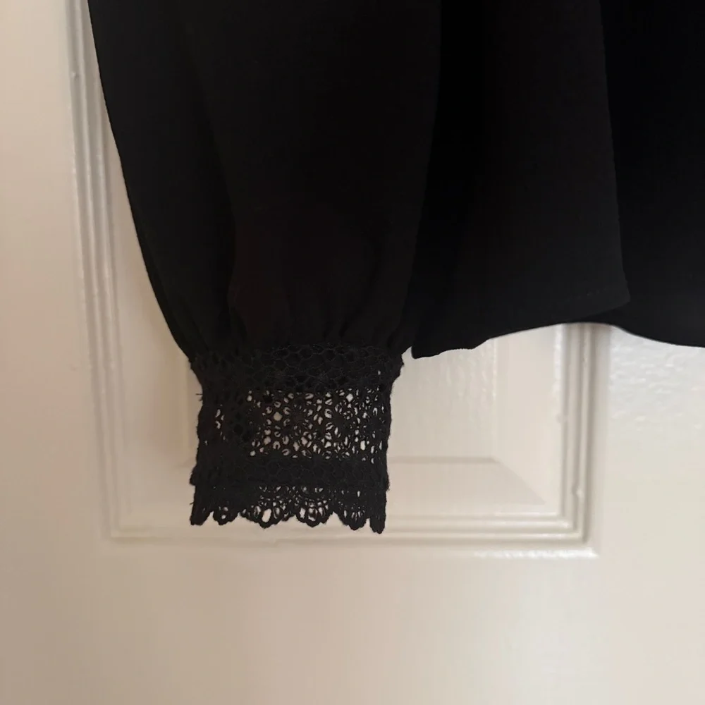 Sezane Black Lace Blouse - Picture 2 of 12